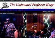 The Undaunted Professor Harp